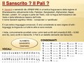 Diapositiva206
